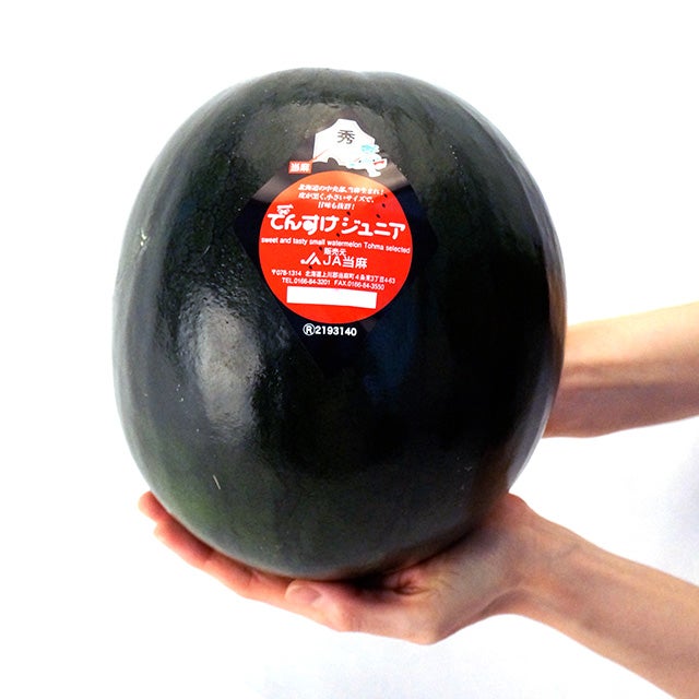 でんすけジュニア(黒小玉西瓜)秀品5Lサイズ