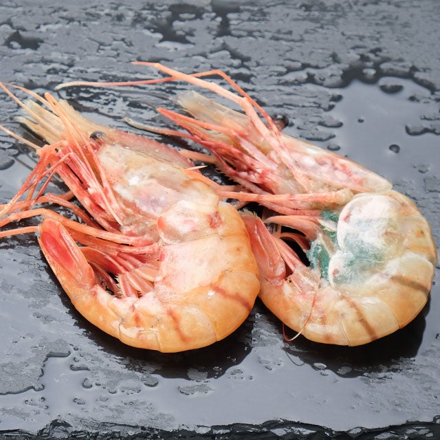 北海道産ボタンエビL300g